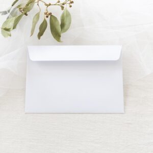 5 x 7 Envelopes - Be My Guest Design