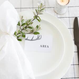 Antlers Place Card