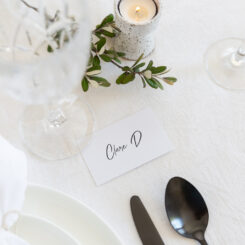 Cheeky Vibes Place Cards