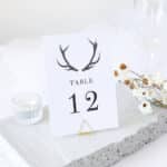 Red Deer Antlers Table Numbers