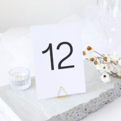 Modern and Elegant Table Numbers